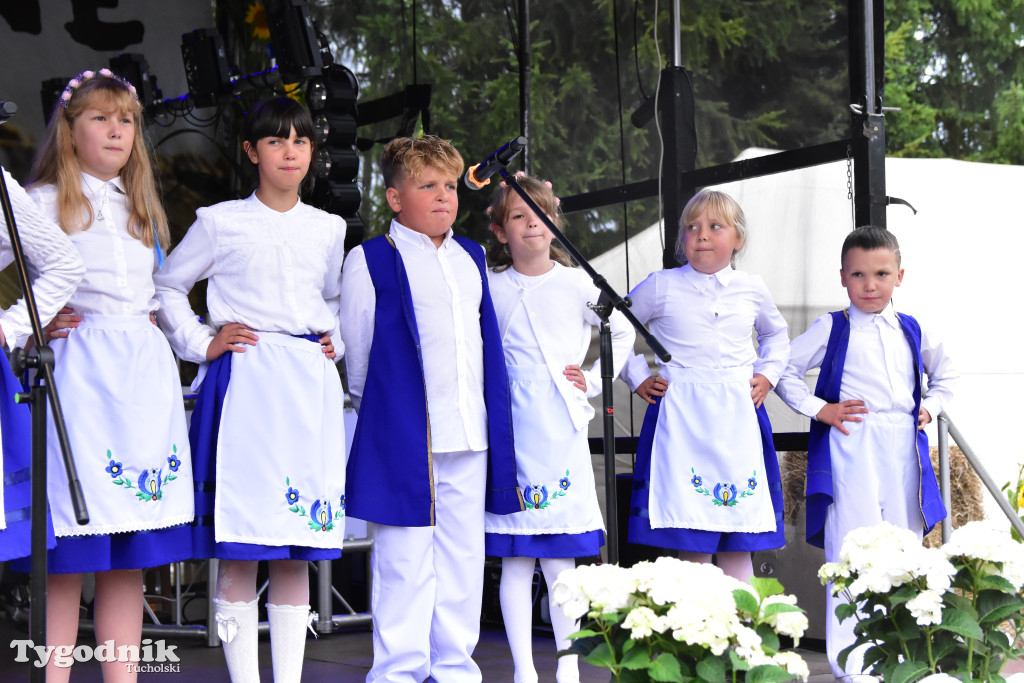 Gmina Śliwice: Tłumy podczas dożynek gminnych w Zaroślach