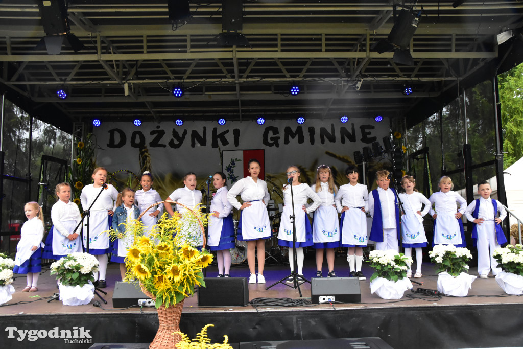 Gmina Śliwice: Tłumy podczas dożynek gminnych w Zaroślach