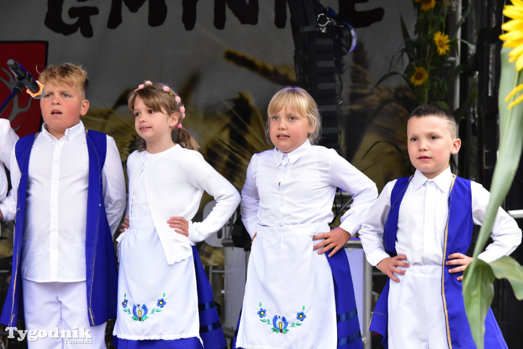 Gmina Śliwice: Tłumy podczas dożynek gminnych w Zaroślach