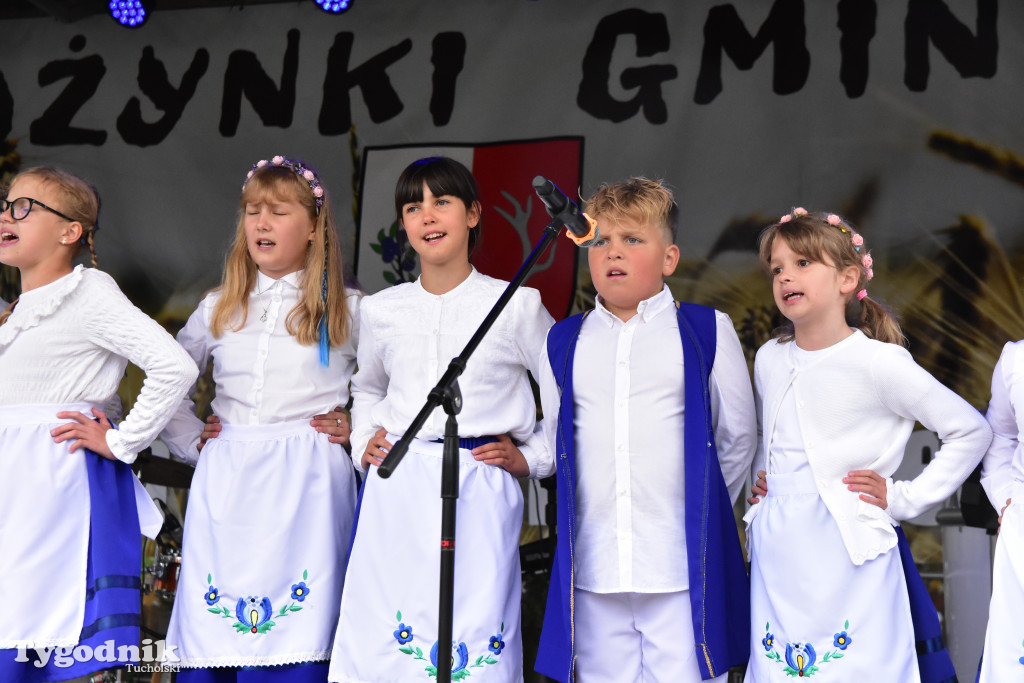 Gmina Śliwice: Tłumy podczas dożynek gminnych w Zaroślach