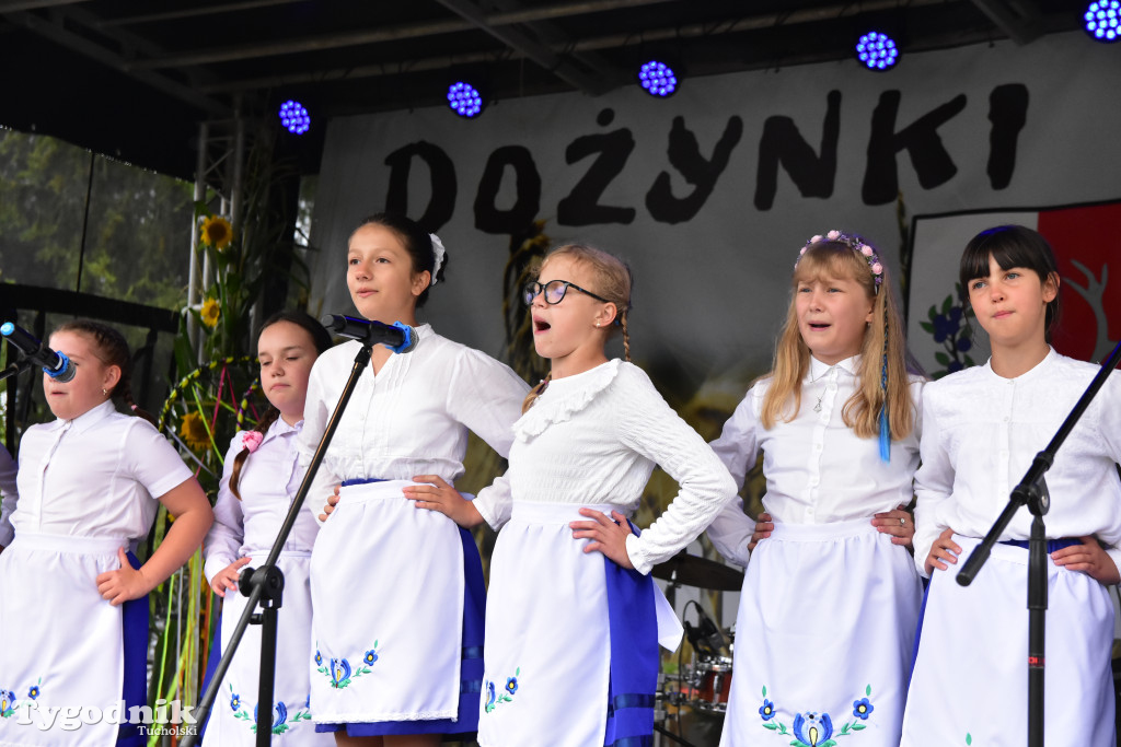 Gmina Śliwice: Tłumy podczas dożynek gminnych w Zaroślach