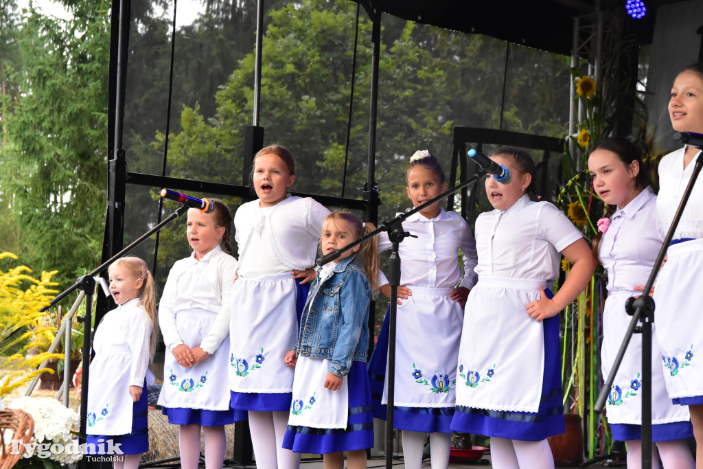 Gmina Śliwice: Tłumy podczas dożynek gminnych w Zaroślach