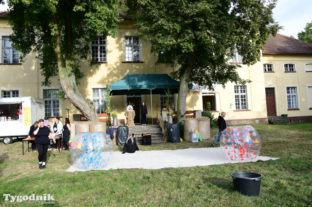 Dożynki gminy Gostycyn 2025 w Kamienicy przed pałacem
