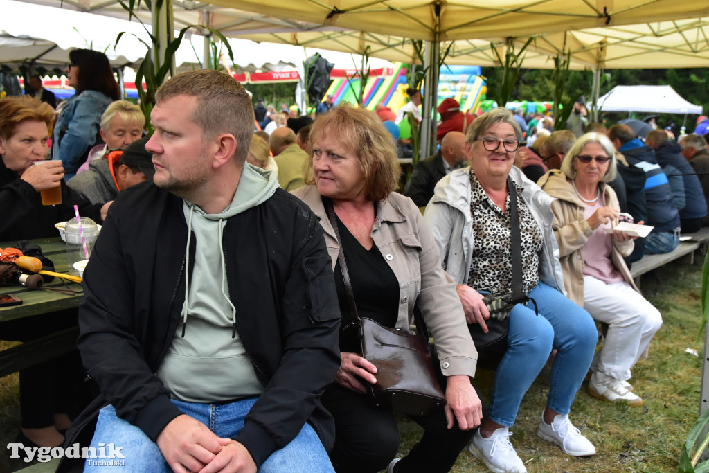 Gmina Śliwice: Tłumy podczas dożynek gminnych w Zaroślach