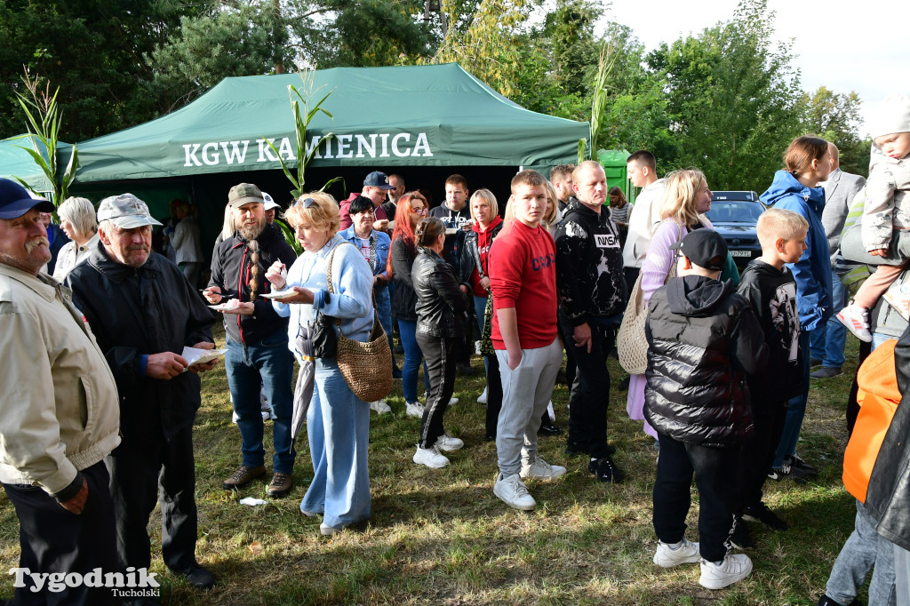 Dożynki gminy Gostycyn 2025 w Kamienicy przed pałacem
