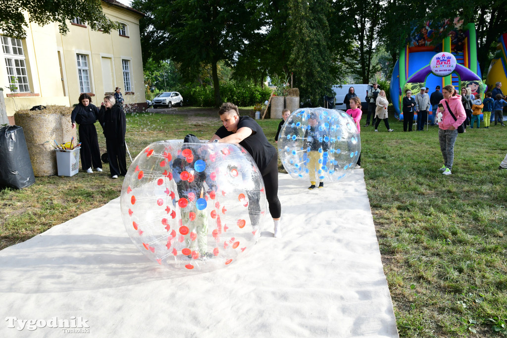Dożynki gminy Gostycyn 2025 w Kamienicy przed pałacem