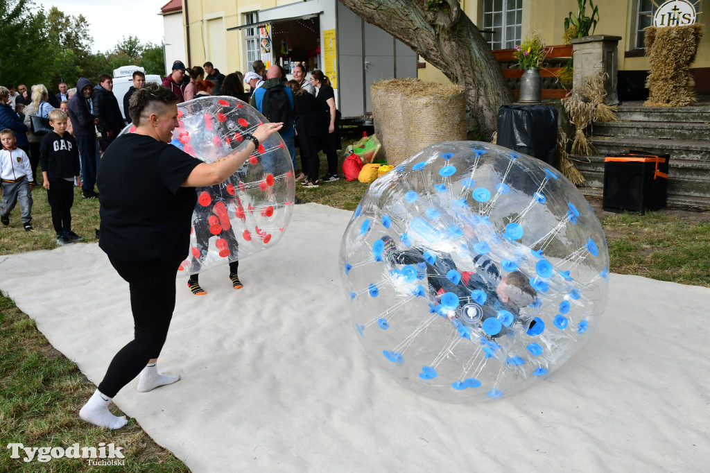 Dożynki gminy Gostycyn 2025 w Kamienicy przed pałacem