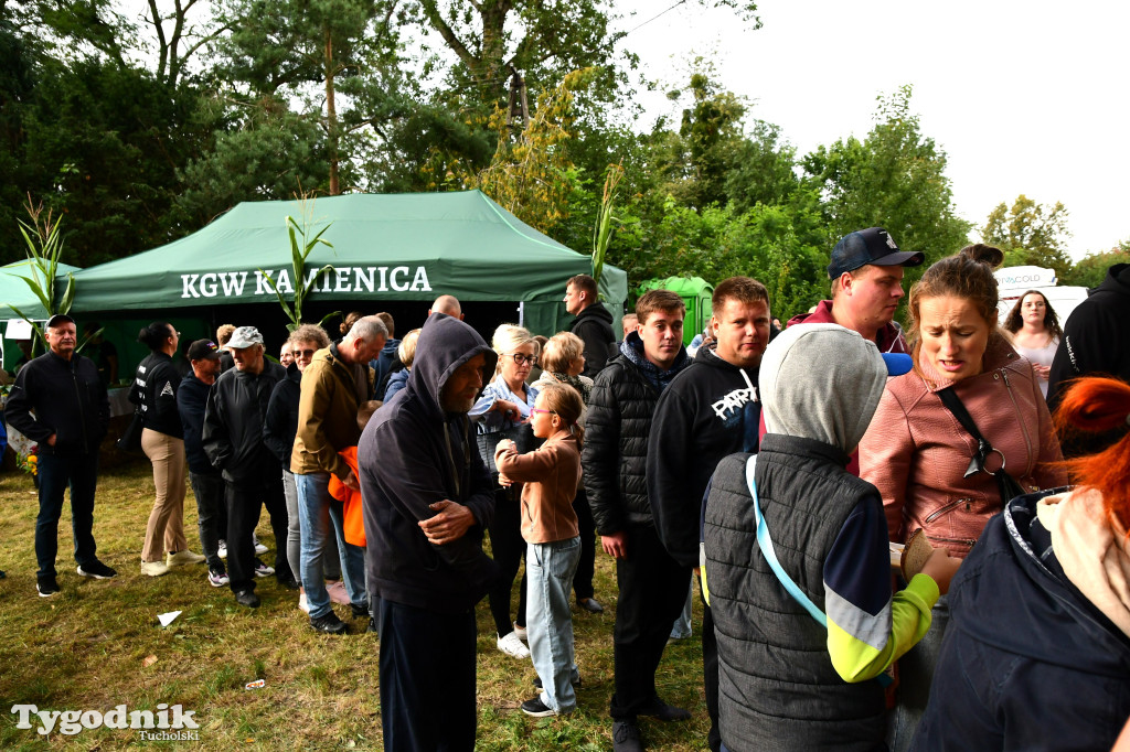 Dożynki gminy Gostycyn 2025 w Kamienicy przed pałacem