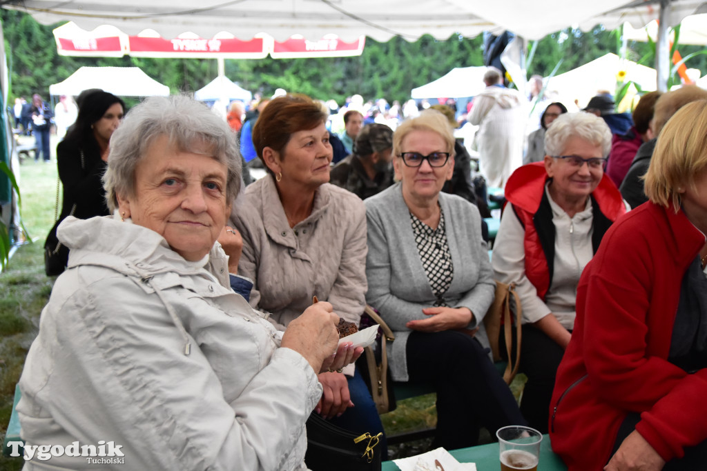 Gmina Śliwice: Tłumy podczas dożynek gminnych w Zaroślach