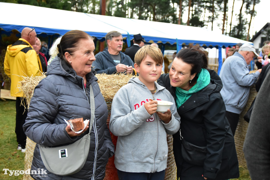 Gmina Śliwice: Tłumy podczas dożynek gminnych w Zaroślach