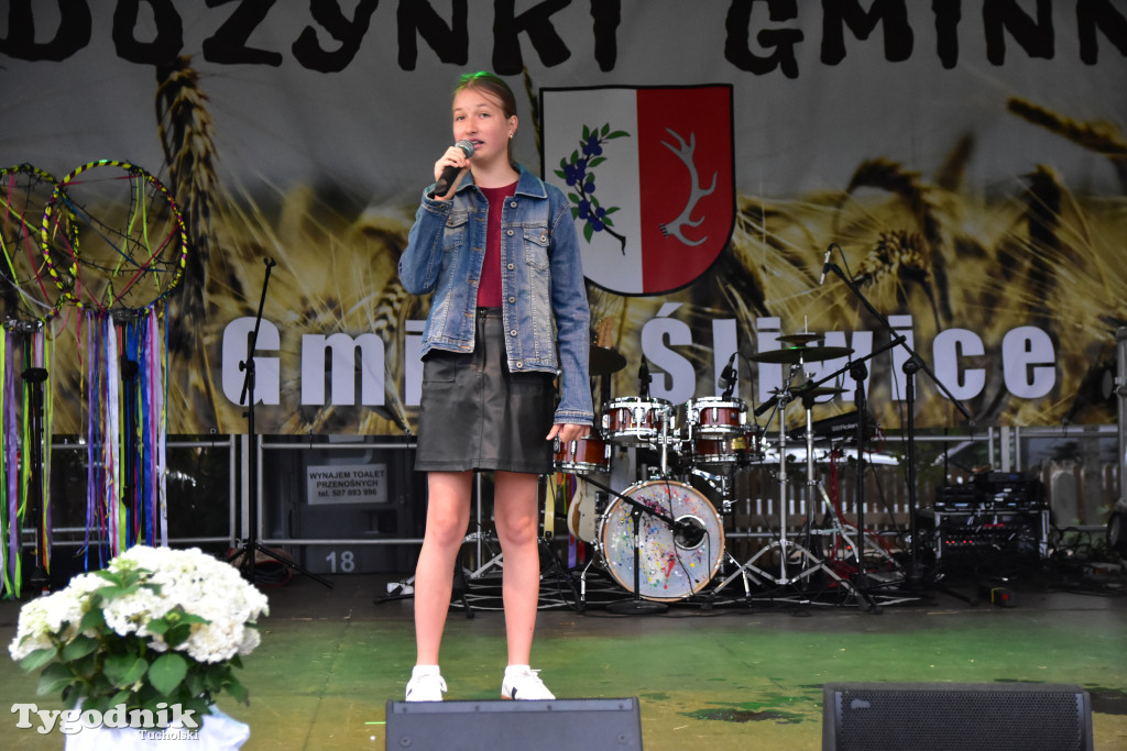 Gmina Śliwice: Tłumy podczas dożynek gminnych w Zaroślach