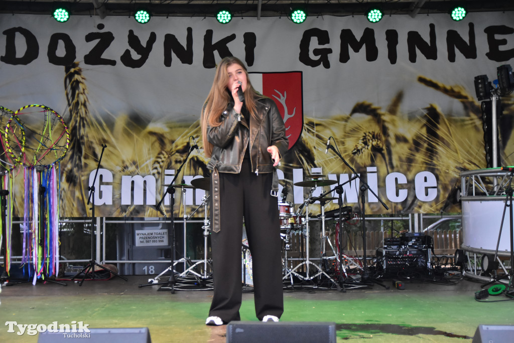 Gmina Śliwice: Tłumy podczas dożynek gminnych w Zaroślach