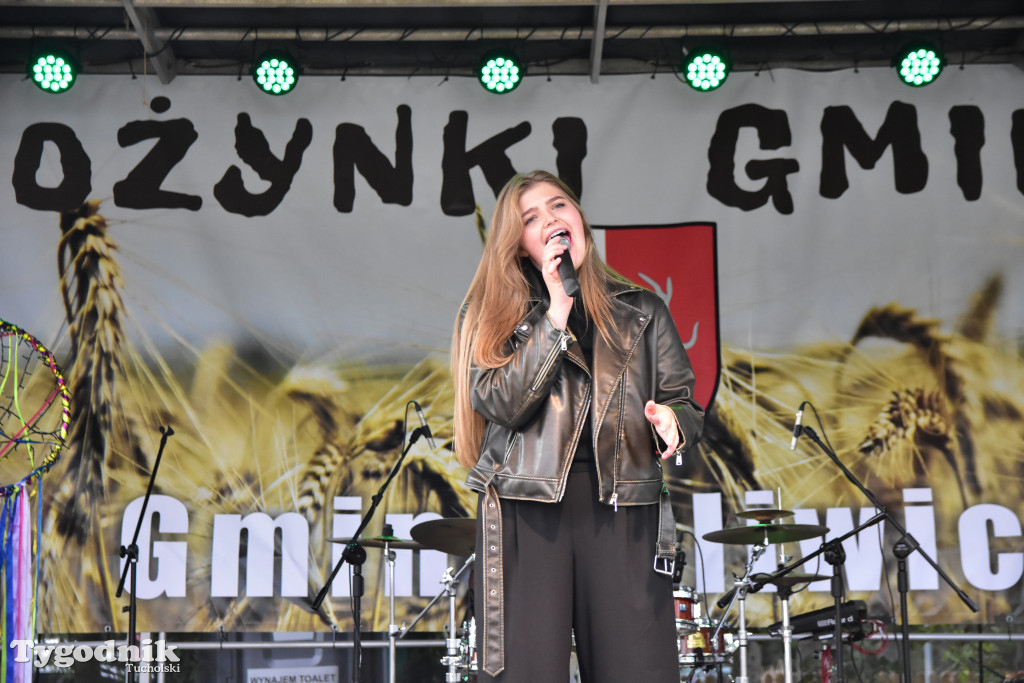 Gmina Śliwice: Tłumy podczas dożynek gminnych w Zaroślach