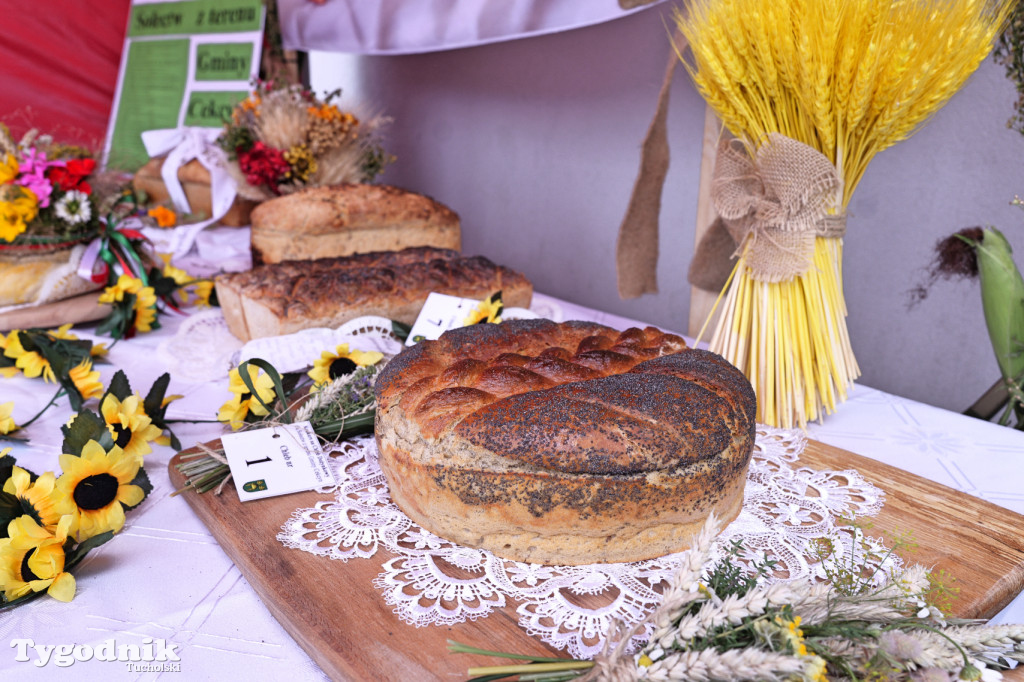 Zdroje gospodarzami dożynek gminy Cekcyn