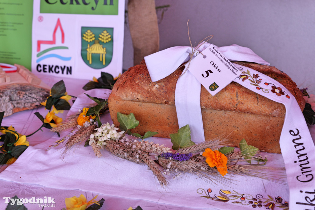 Zdroje gospodarzami dożynek gminy Cekcyn