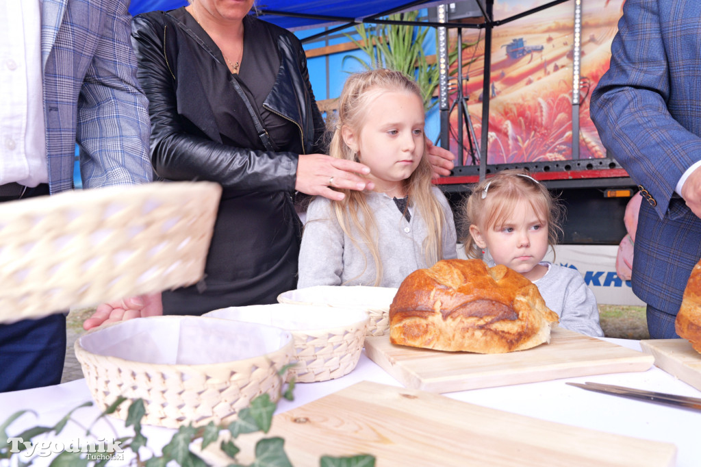 Zdroje gospodarzami dożynek gminy Cekcyn