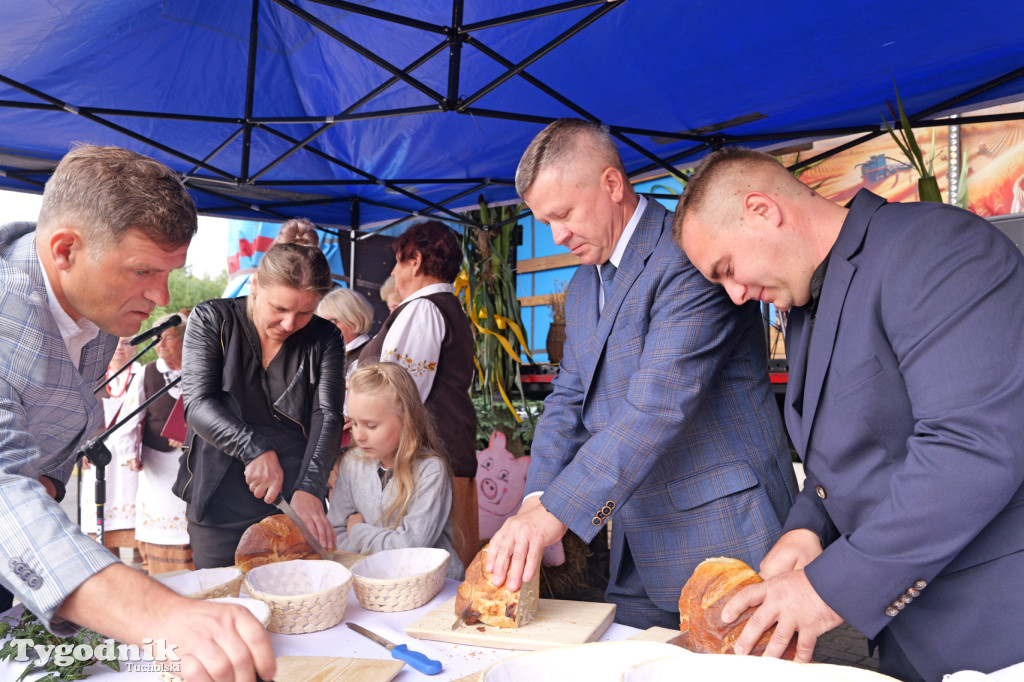 Zdroje gospodarzami dożynek gminy Cekcyn