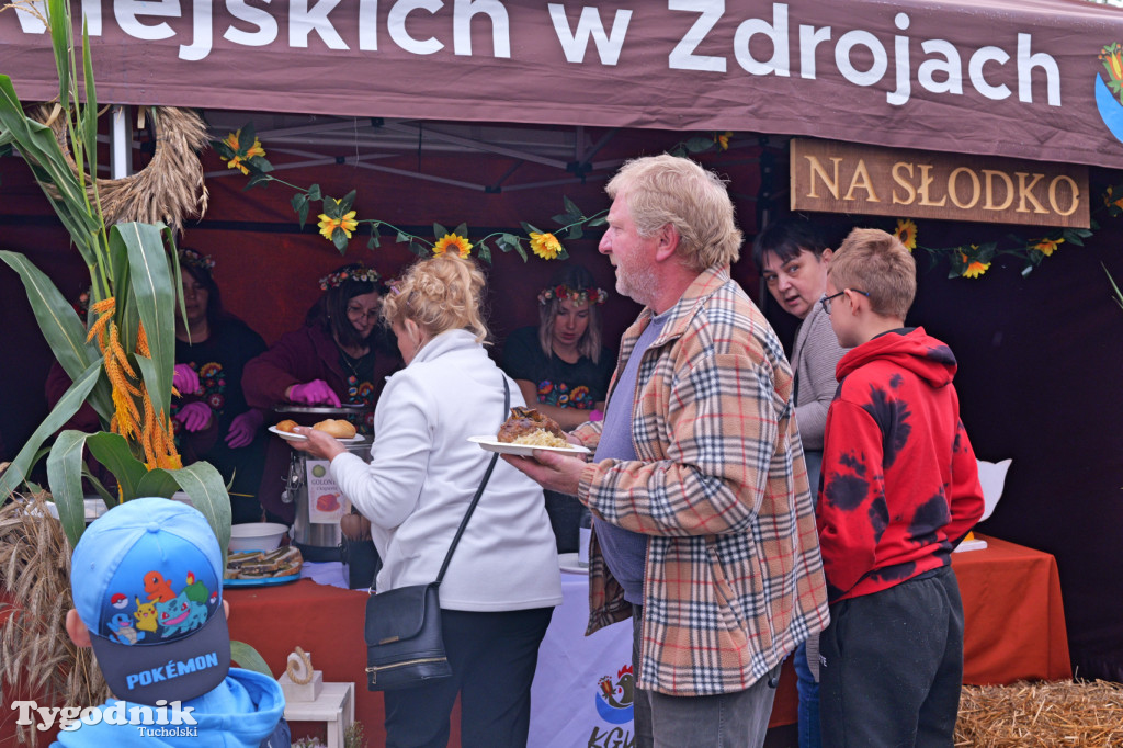 Zdroje gospodarzami dożynek gminy Cekcyn
