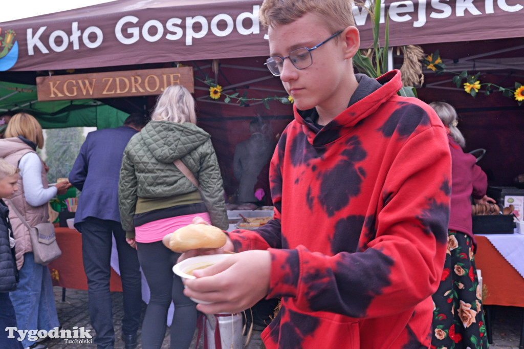 Zdroje gospodarzami dożynek gminy Cekcyn