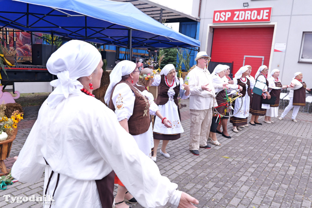 Zdroje gospodarzami dożynek gminy Cekcyn