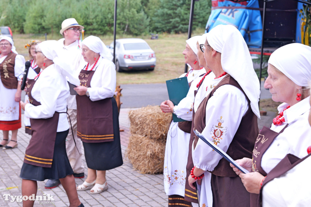 Zdroje gospodarzami dożynek gminy Cekcyn