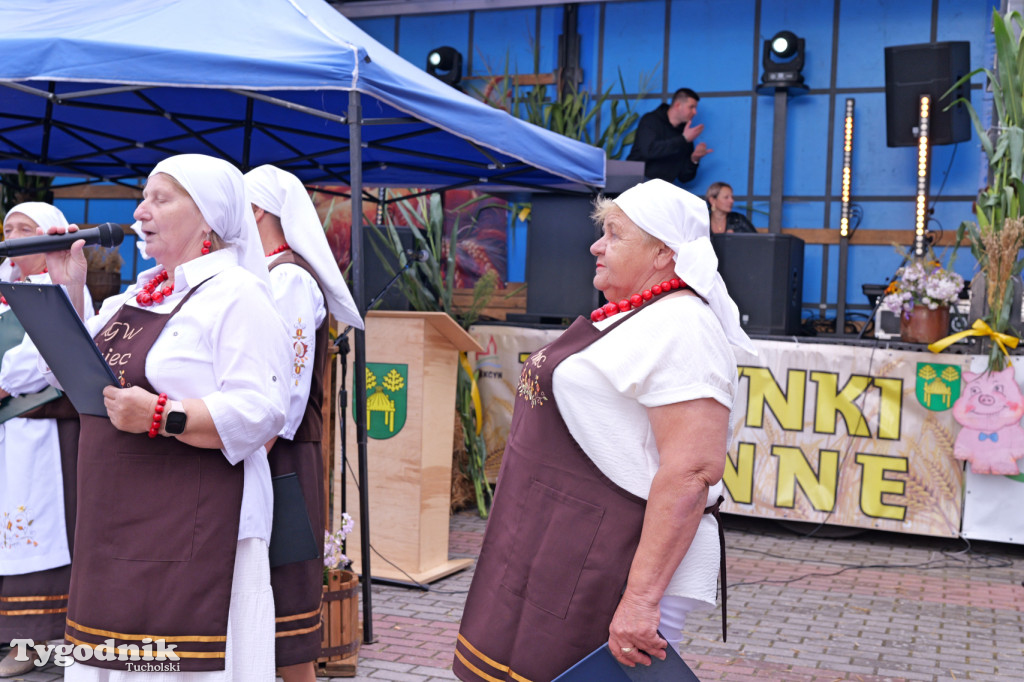 Zdroje gospodarzami dożynek gminy Cekcyn