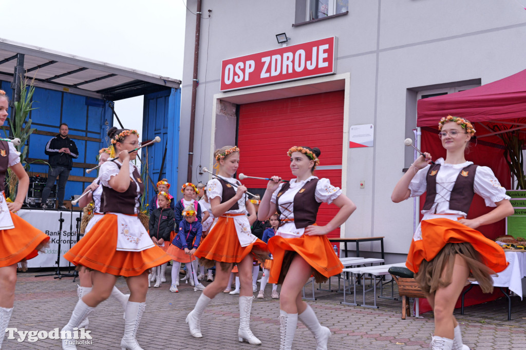 Zdroje gospodarzami dożynek gminy Cekcyn
