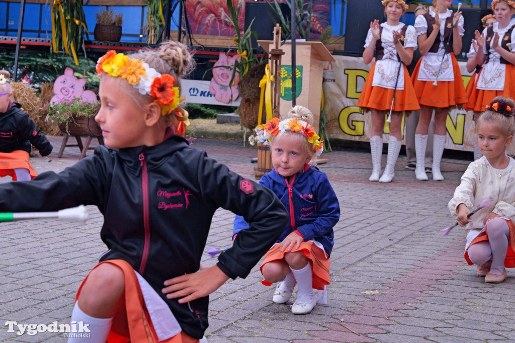 Zdroje gospodarzami dożynek gminy Cekcyn
