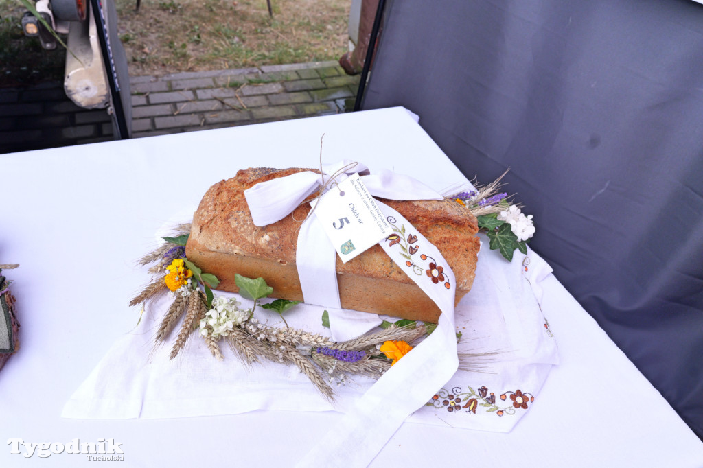 Zdroje gospodarzami dożynek gminy Cekcyn