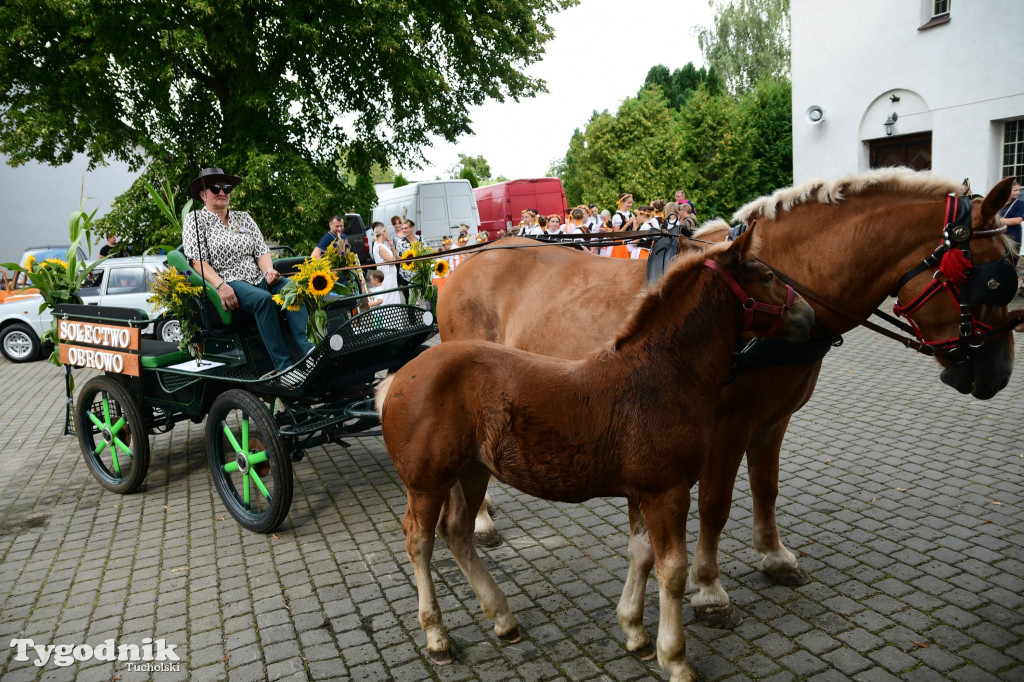 Wielkie dożynki gminy Kęsowo 2025