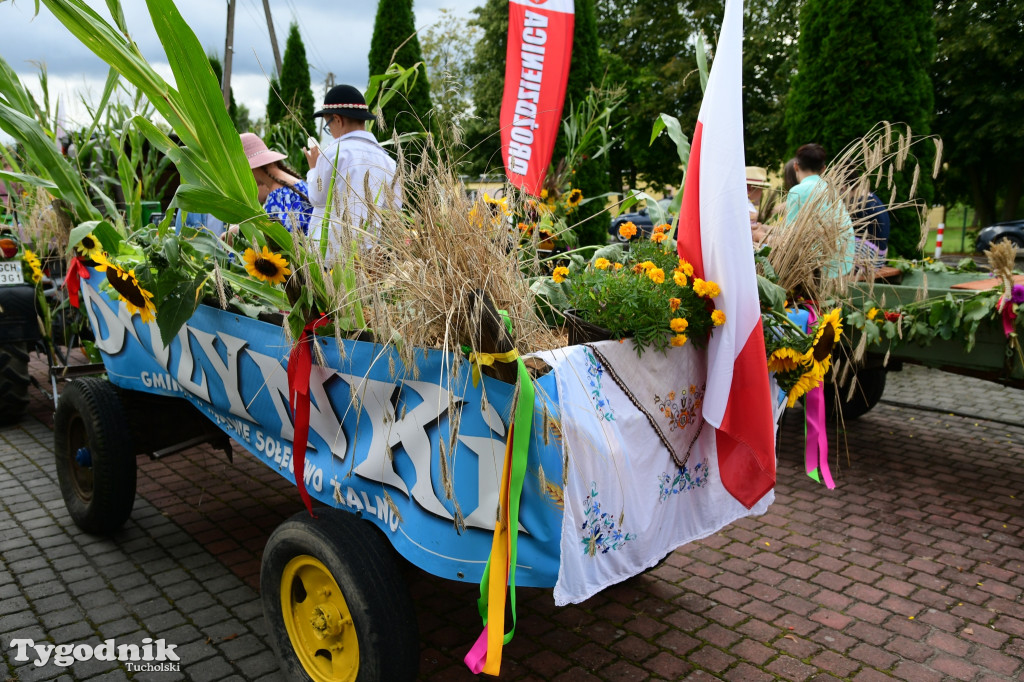 Wielkie dożynki gminy Kęsowo 2025