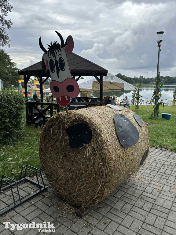 Dożynki sołectwa Stobno