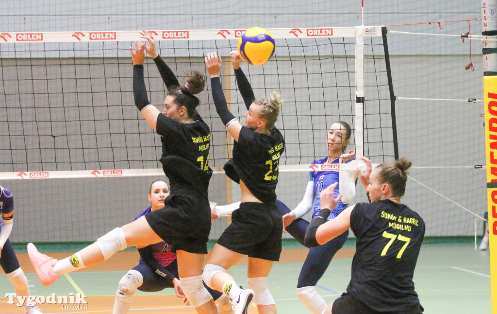 Tauron Liga w Tucholi: Sokół & Hagric Mogilno - Metalkas Pałac Bydgoszcz
