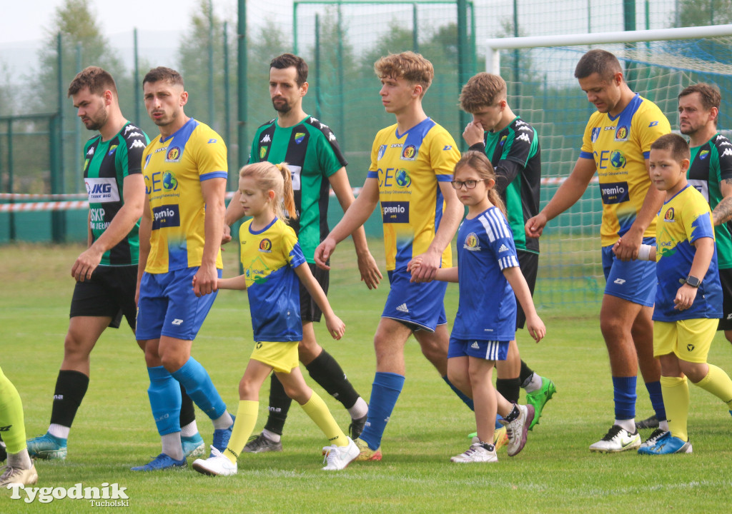 Klasa okręgowa: Rawys CEO Raciąż - LKS Dąbrowa Chełmińska 6:0 (3:0)