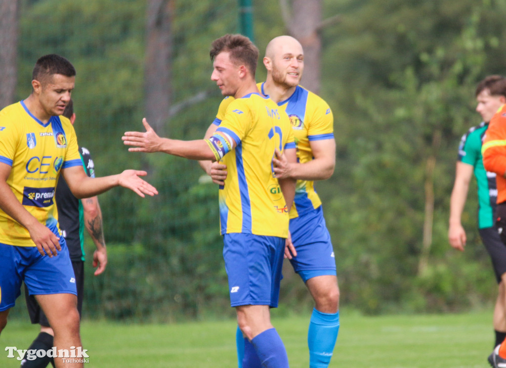 Klasa okręgowa: Rawys CEO Raciąż - LKS Dąbrowa Chełmińska 6:0 (3:0)