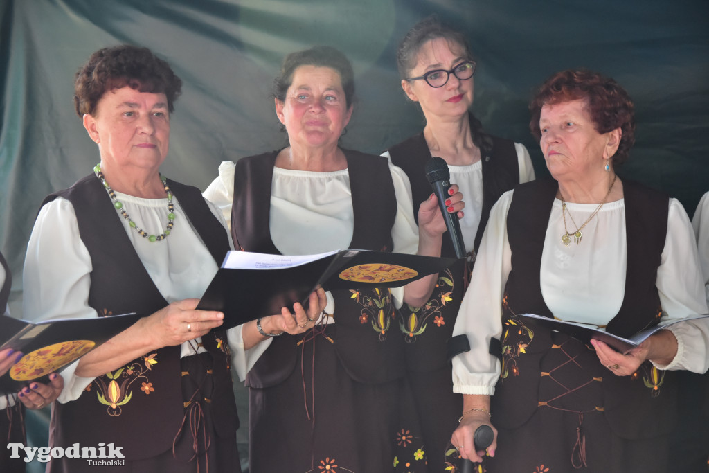 Wielka borowiacka biesiada na dziedzińcu Muzeum Borów Tucholskich