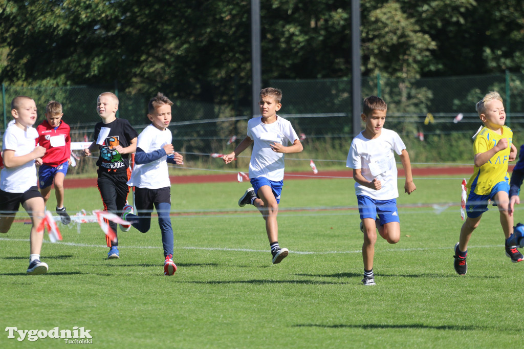 Bieg Borowiaków 2025