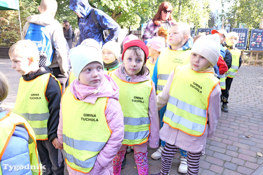 Wystawa grzybów w Tucholskim Parku Krajobrazowym 2025