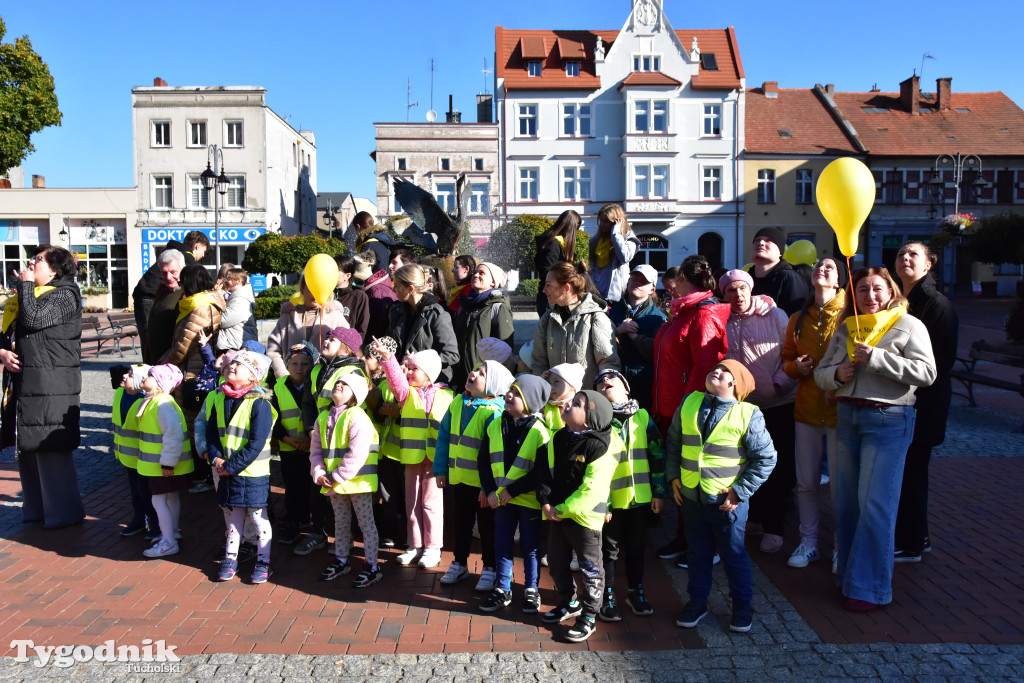 Tuchola: Pola Nadziei. Na placu Wolności zasadzono dziesiątki żonkili