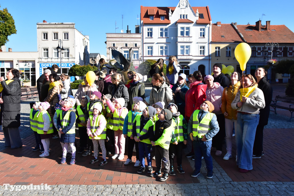 Tuchola: Pola Nadziei. Na placu Wolności zasadzono dziesiątki żonkili