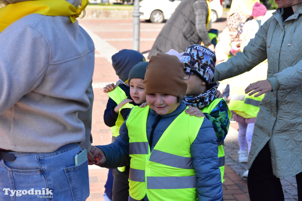 Tuchola: Pola Nadziei. Na placu Wolności zasadzono dziesiątki żonkili