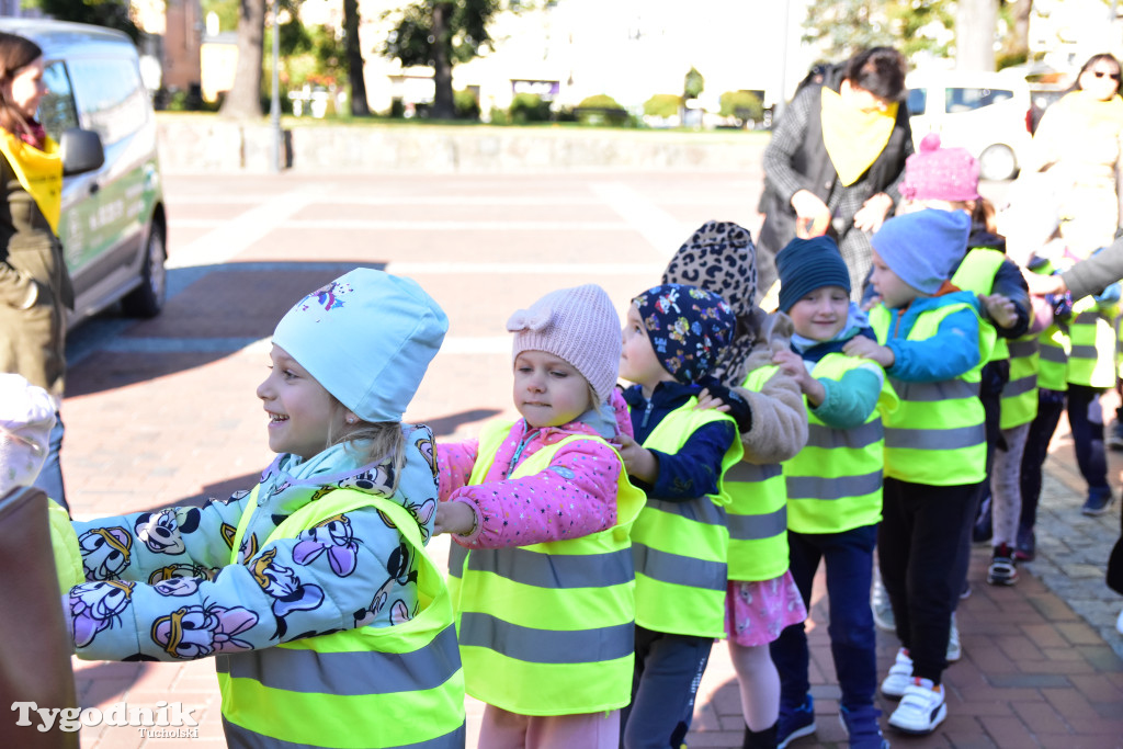 Tuchola: Pola Nadziei. Na placu Wolności zasadzono dziesiątki żonkili
