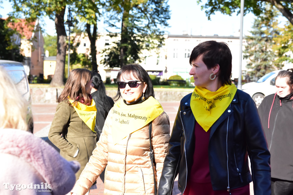 Tuchola: Pola Nadziei. Na placu Wolności zasadzono dziesiątki żonkili