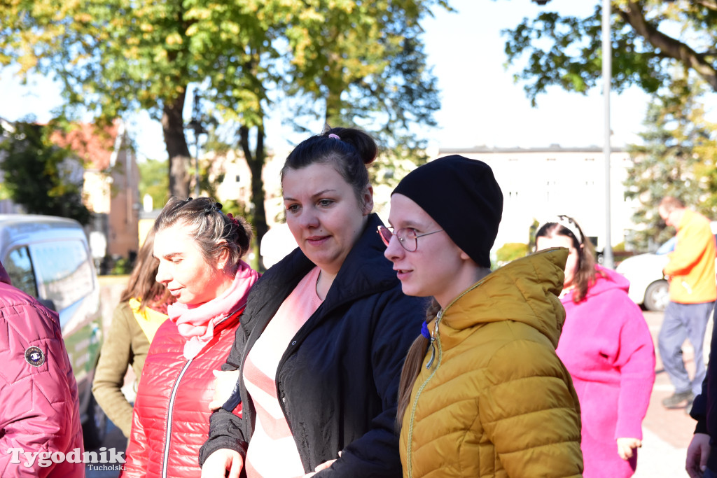 Tuchola: Pola Nadziei. Na placu Wolności zasadzono dziesiątki żonkili