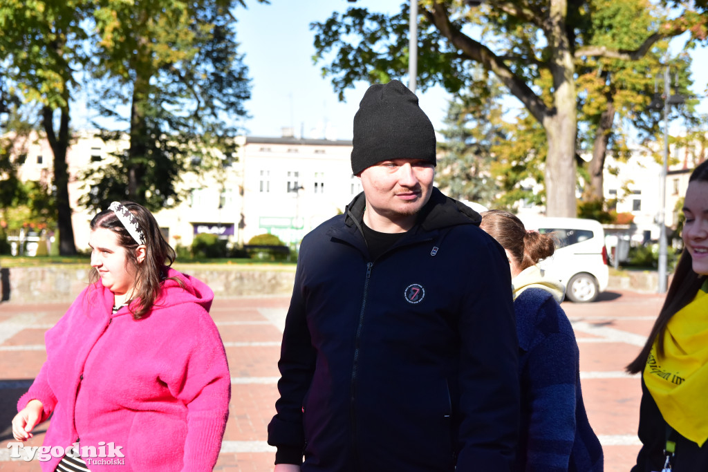 Tuchola: Pola Nadziei. Na placu Wolności zasadzono dziesiątki żonkili