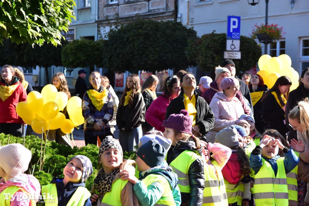 Tuchola: Pola Nadziei. Na placu Wolności zasadzono dziesiątki żonkili