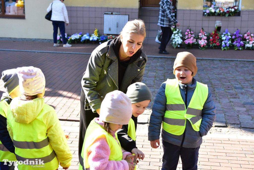 Tuchola: Pola Nadziei. Na placu Wolności zasadzono dziesiątki żonkili