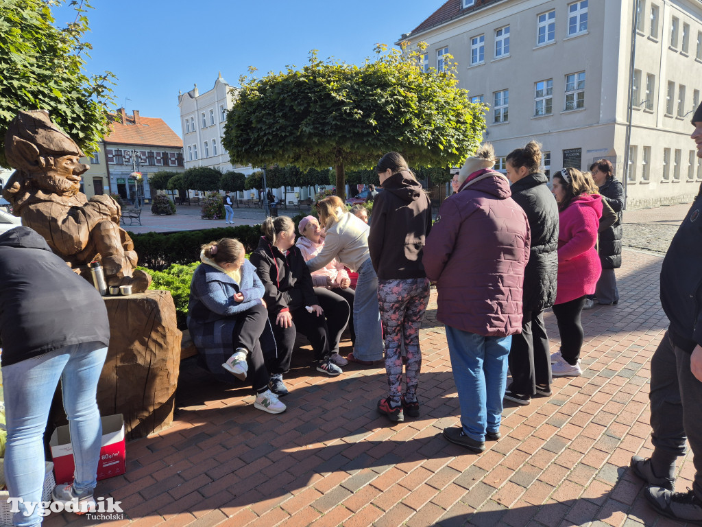 Tuchola: Pola Nadziei. Na placu Wolności zasadzono dziesiątki żonkili