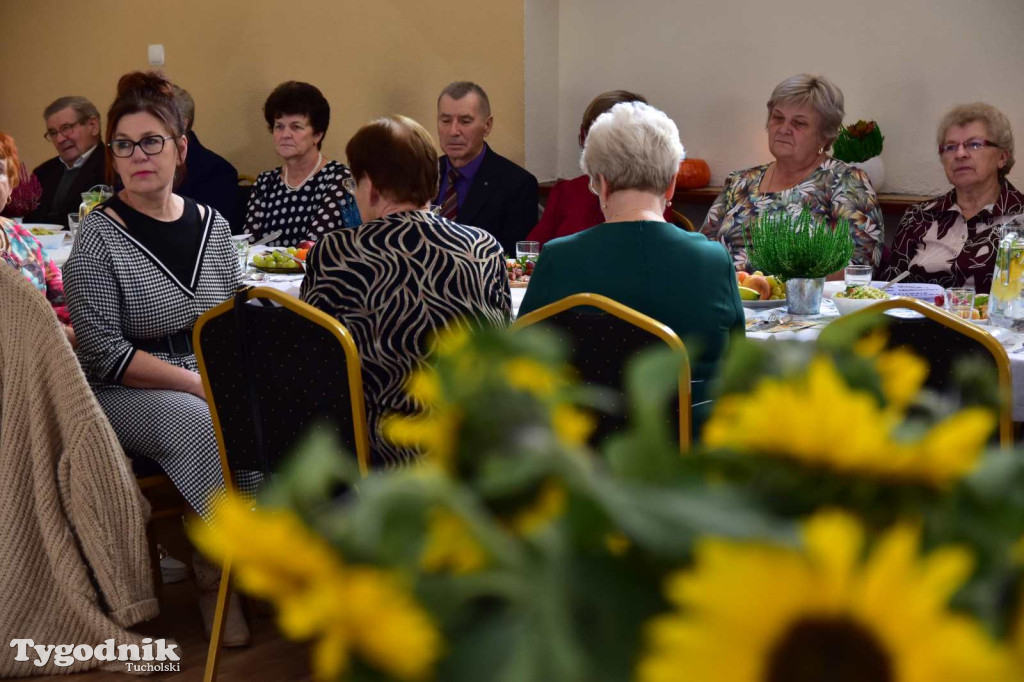 Zabawa taneczna Klubu Senior+ w Wielkim Mędromierzu