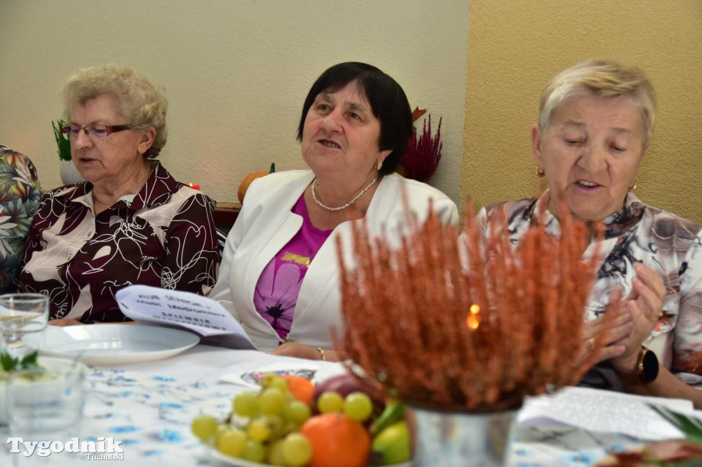 Zabawa taneczna Klubu Senior+ w Wielkim Mędromierzu